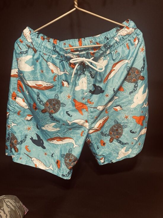 U.S. Polo Assn. Other - U.S. Polo Assn. Men’s XL Swim Trunks Blue Ocean Wale Turtle Mesh Lined #0001